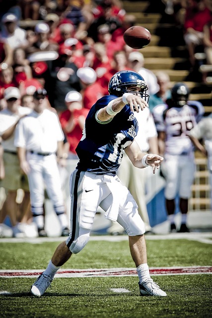 格雷茨卡主 格雷茨卡主